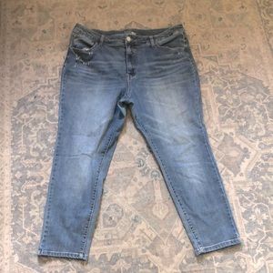 Time and Tru High rise Skinny Jeans size 20 petite